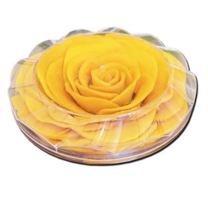 xoài sấy dẻo xếp hoa