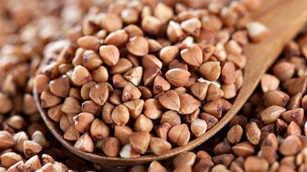 hạt kiều mạch là gì?