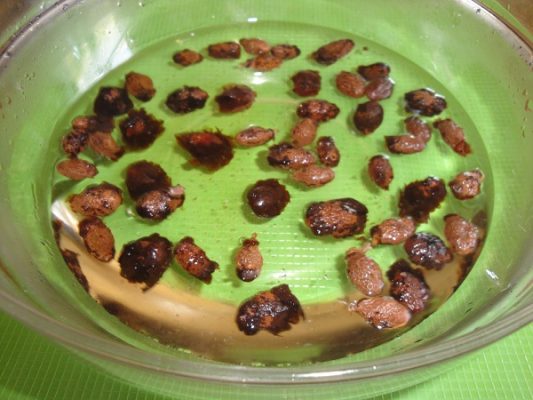 cách dùng hạt đười ươi