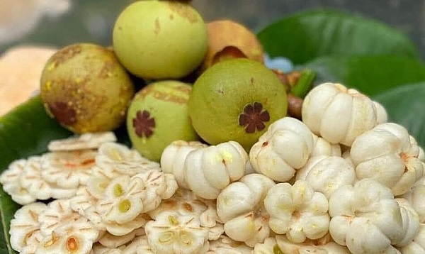 giá măng cụt xanh ngày hôm nay
