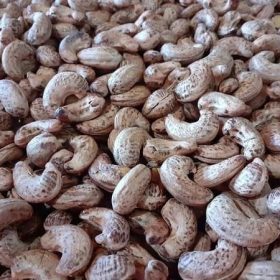 hạt điều ở đâu ngon nhất