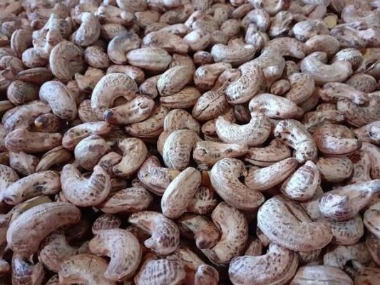 hạt điều ở đâu ngon nhất